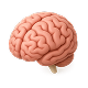 Intelligent assessments